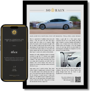 Gift for Electric Car owner: A framed recognition